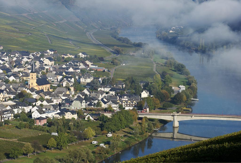 Weingut & Gaestehaus Edwin Hoffmann Trittenheim Zewnętrze zdjęcie