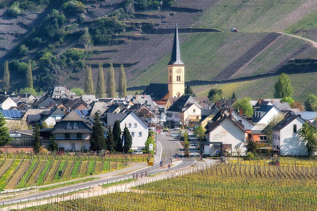 Weingut & Gaestehaus Edwin Hoffmann Trittenheim Zewnętrze zdjęcie